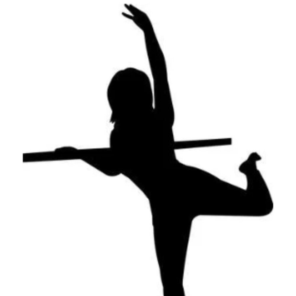 Meet your Posher, Barre Lover!